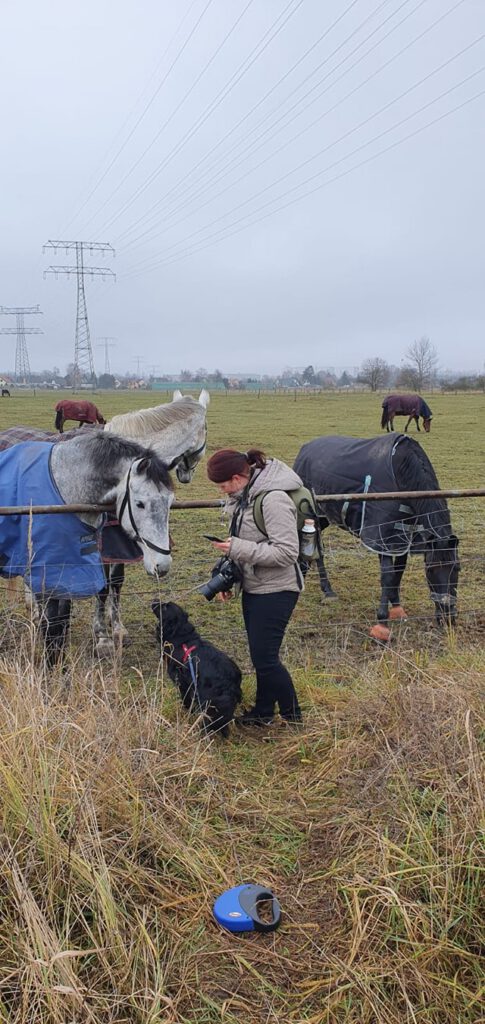 Isabell Nubel in der Natur mit Kamera. Vor ihr eine weide mit 5 Pferden, sowie ihr Hund, ein schwarzer Boder Collie